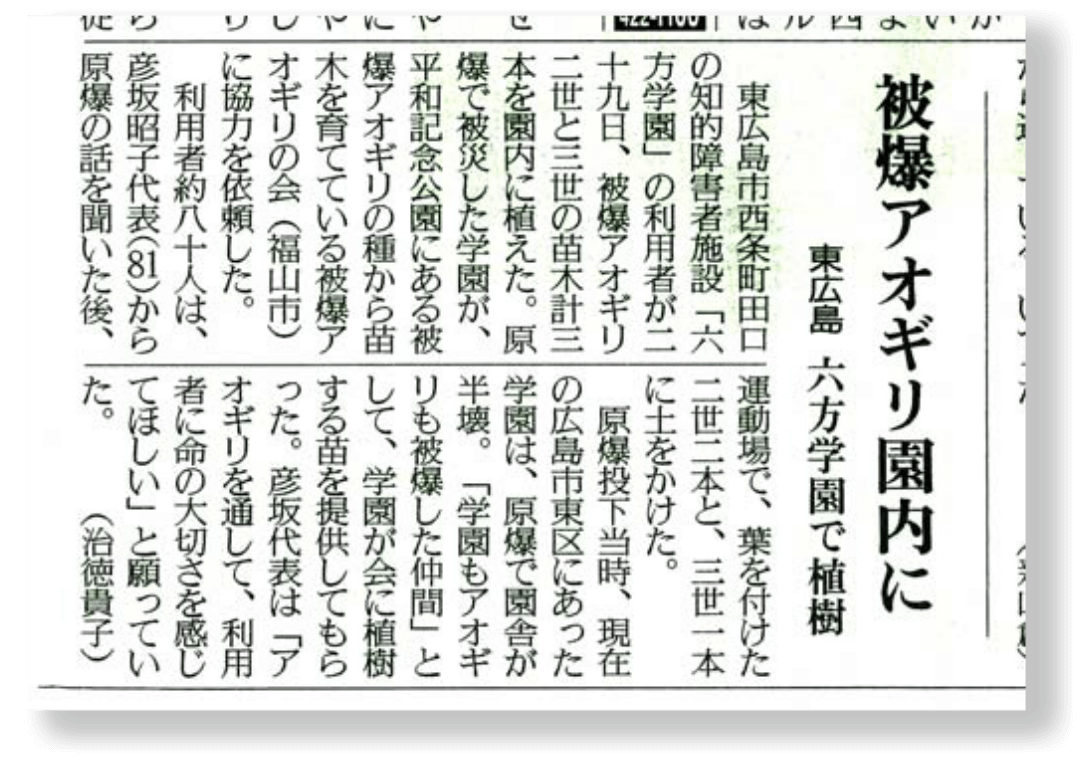画像:ポプラとアオギリ