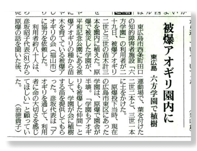 画像:ポプラとアオギリ