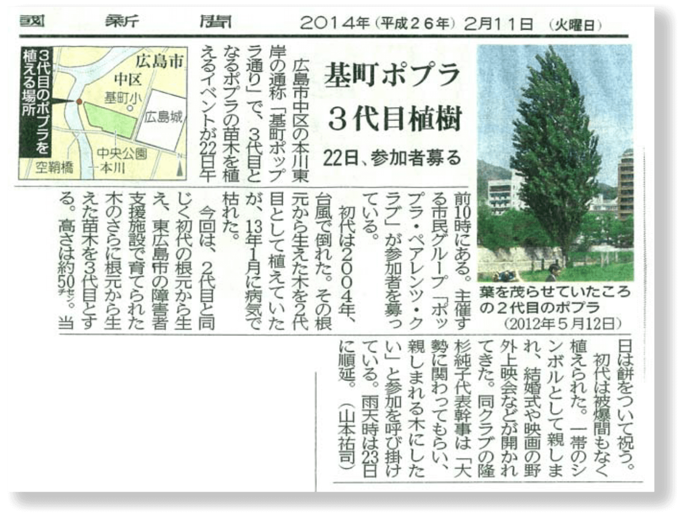 画像:ポプラとアオギリ